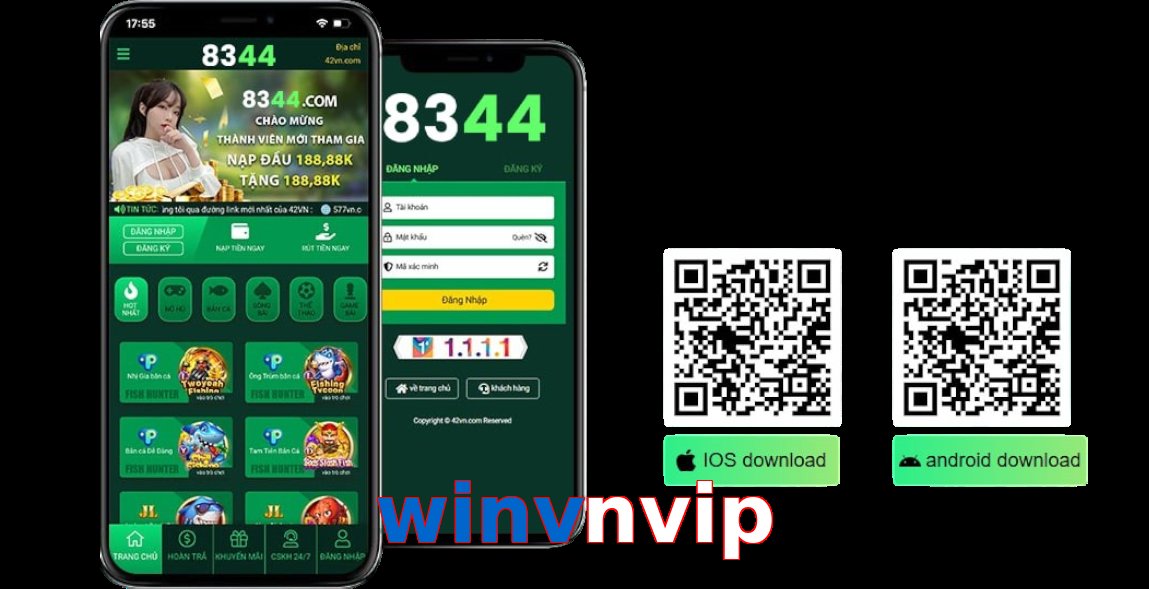 winvnvip