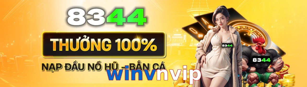 winvnvip