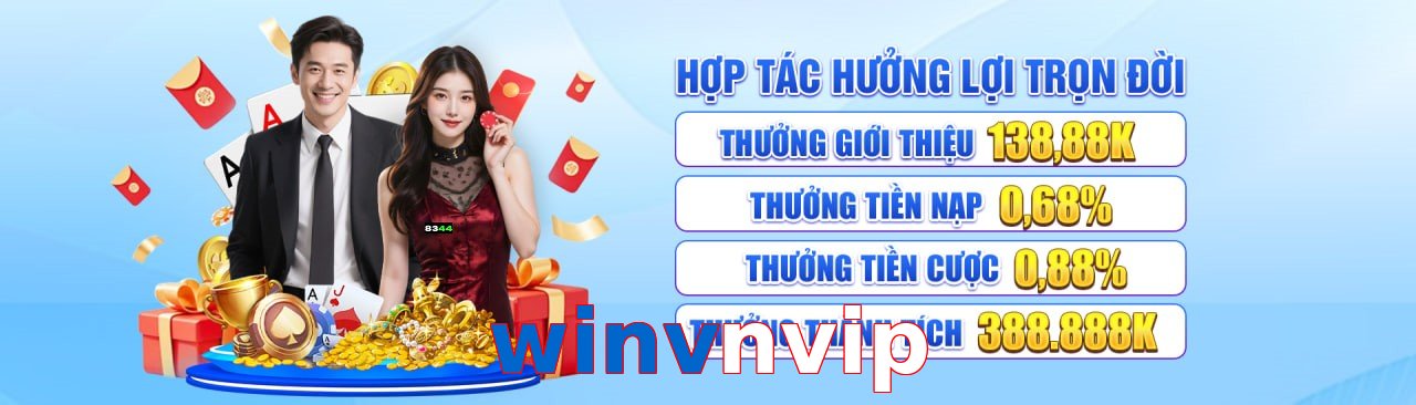 winvnvip