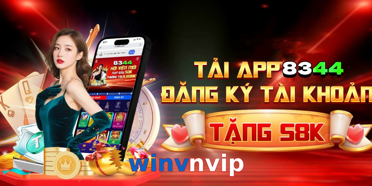 winvnvip