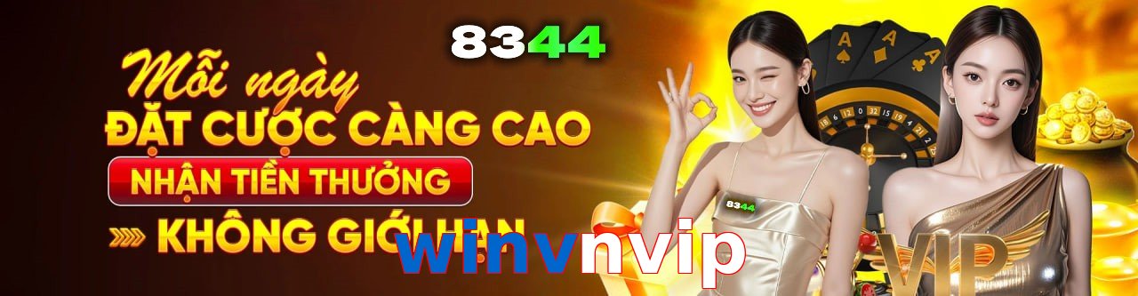 winvnvip