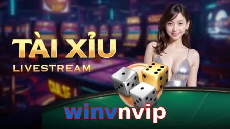 winvnvip