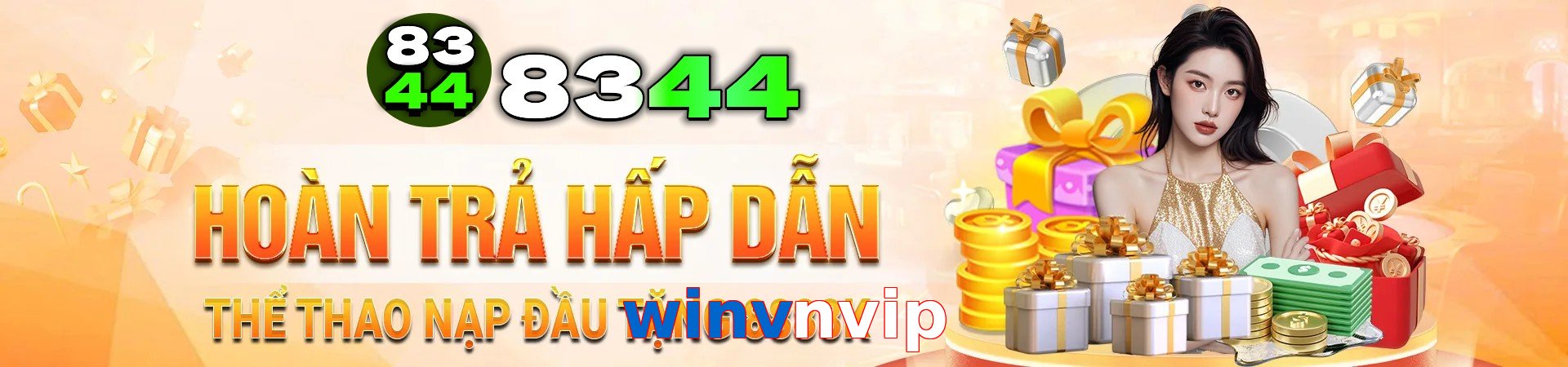 winvnvip