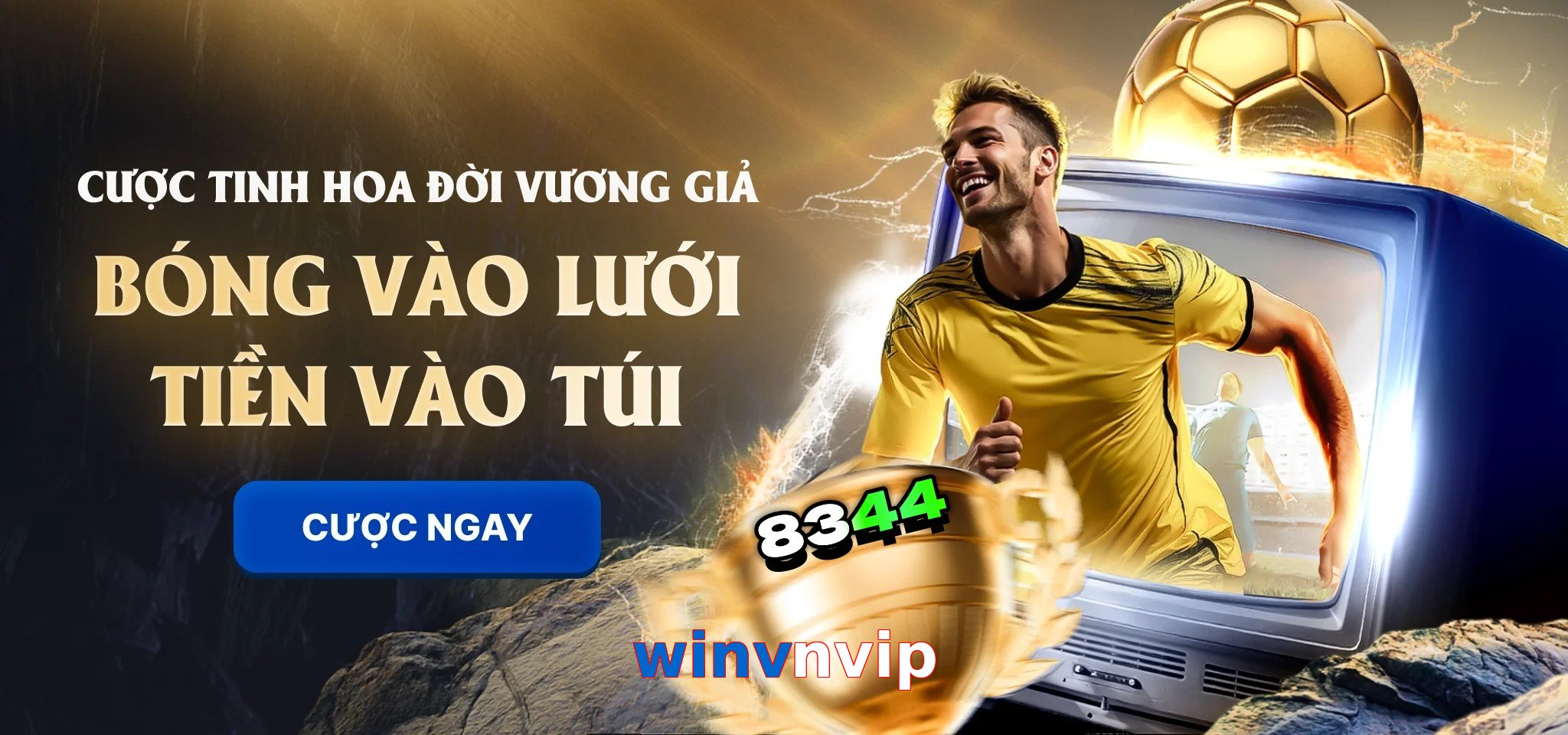 winvnvip