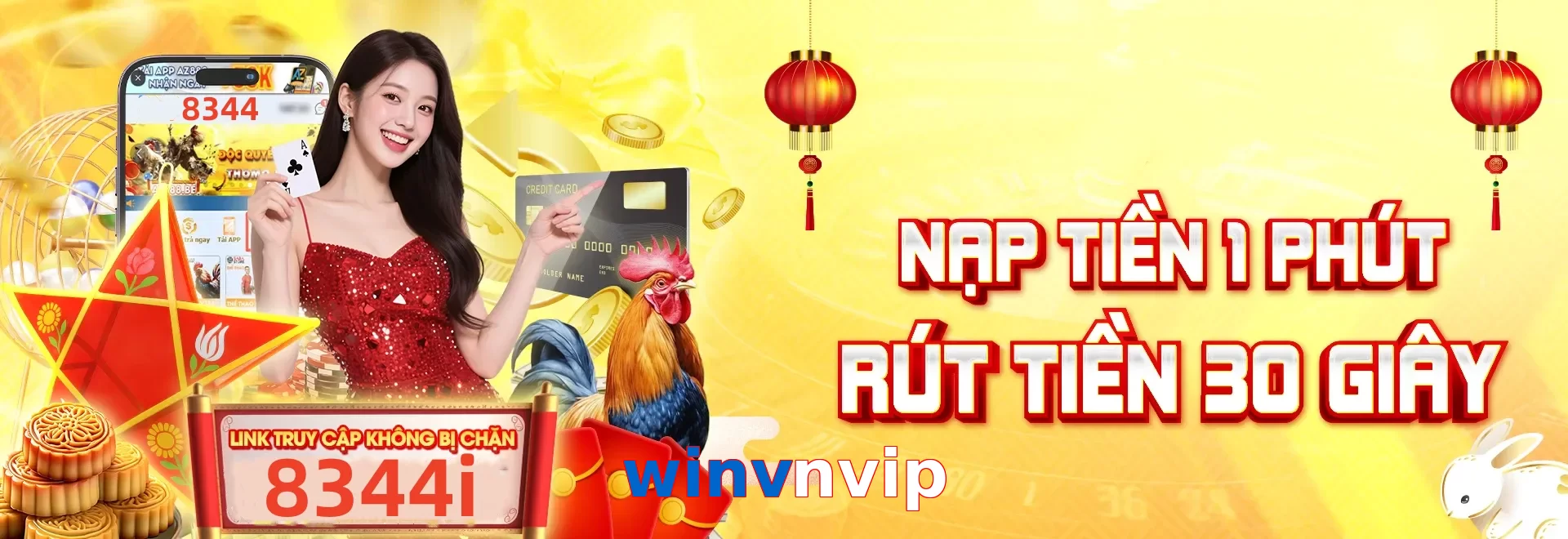winvnvip