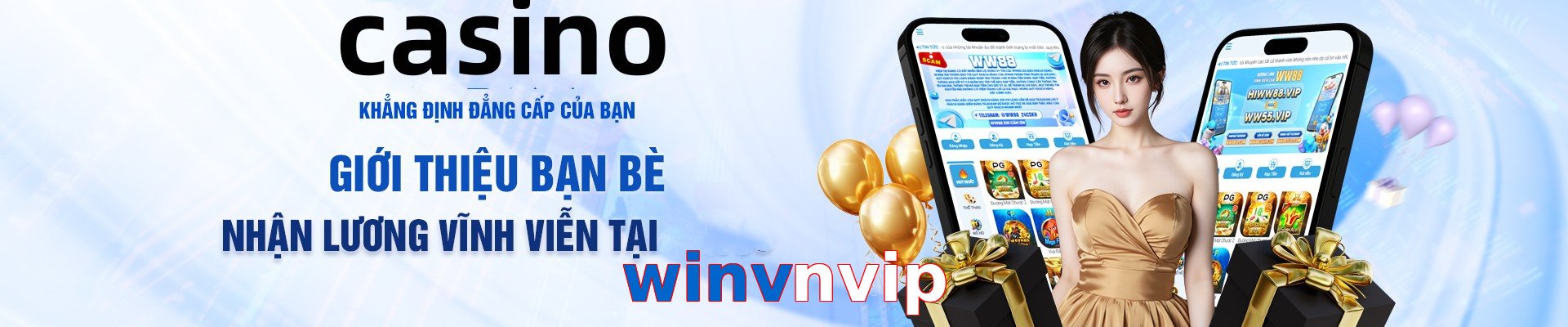 winvnvip