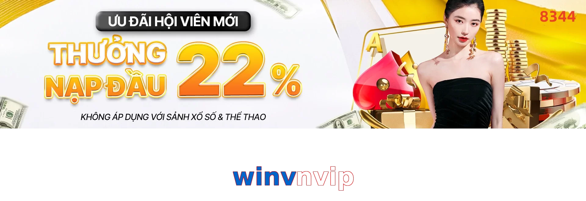 winvnvip