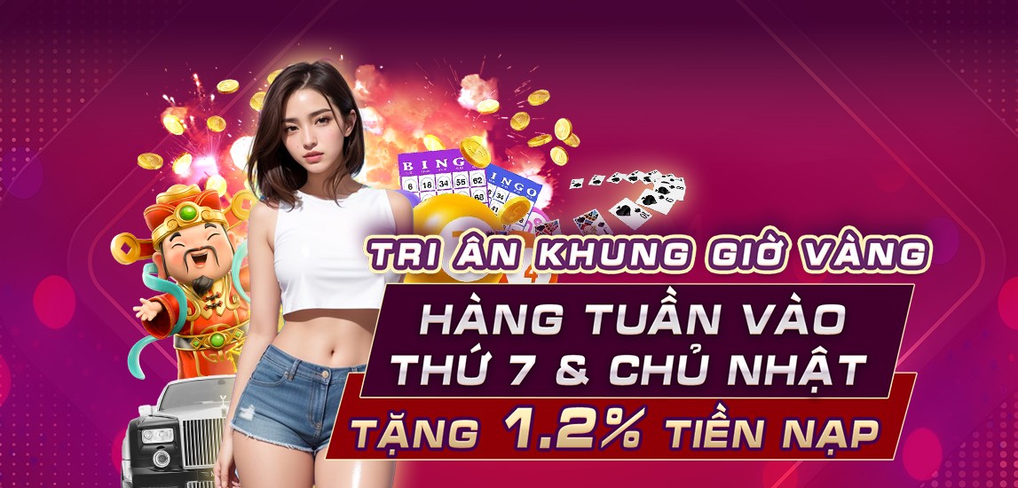 winvnvip