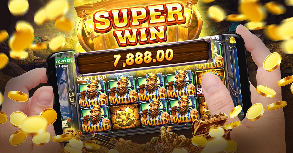 winvnvip