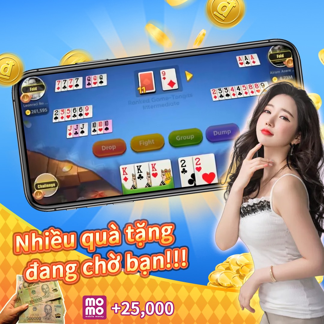 winvnvip