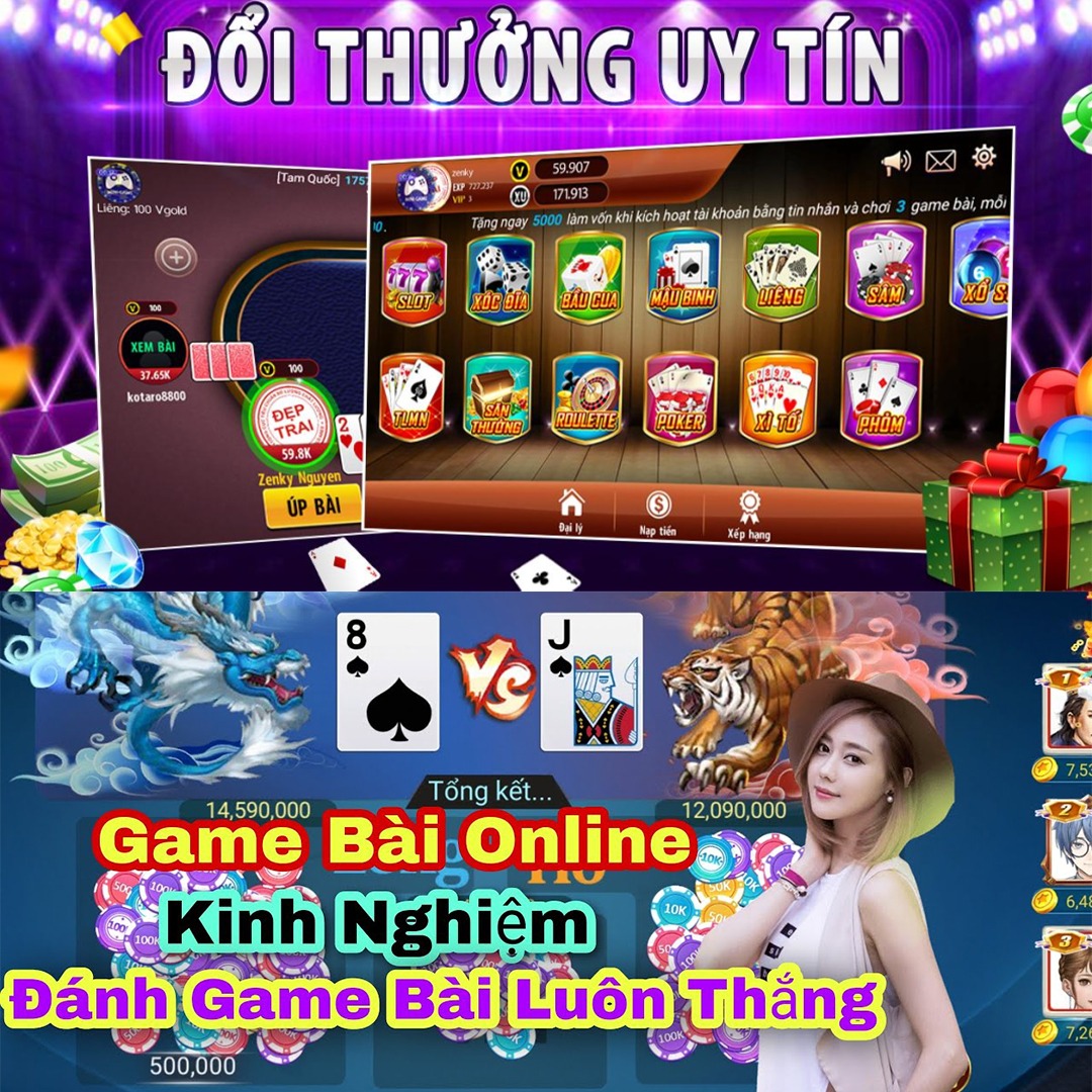 winvnvip