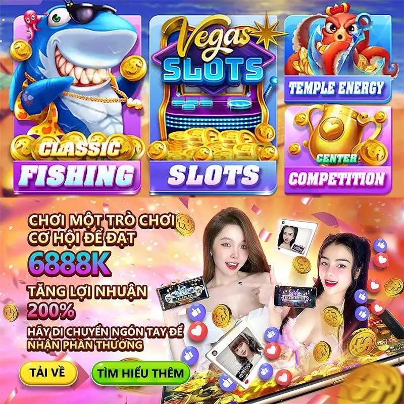 winvnvip