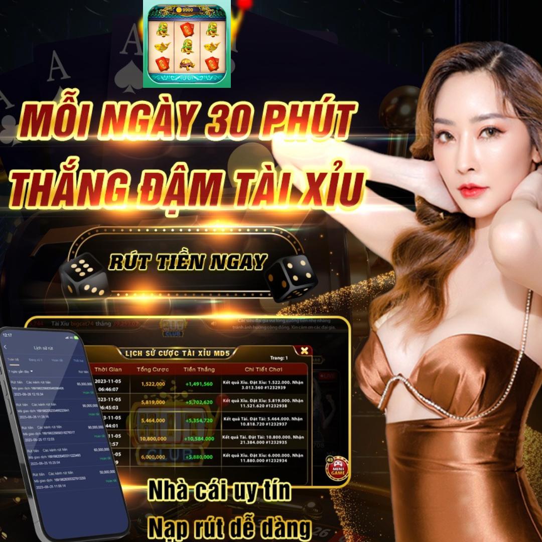 winvnvip