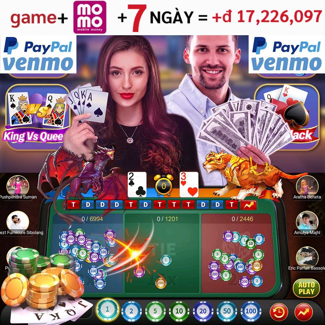 winvnvip