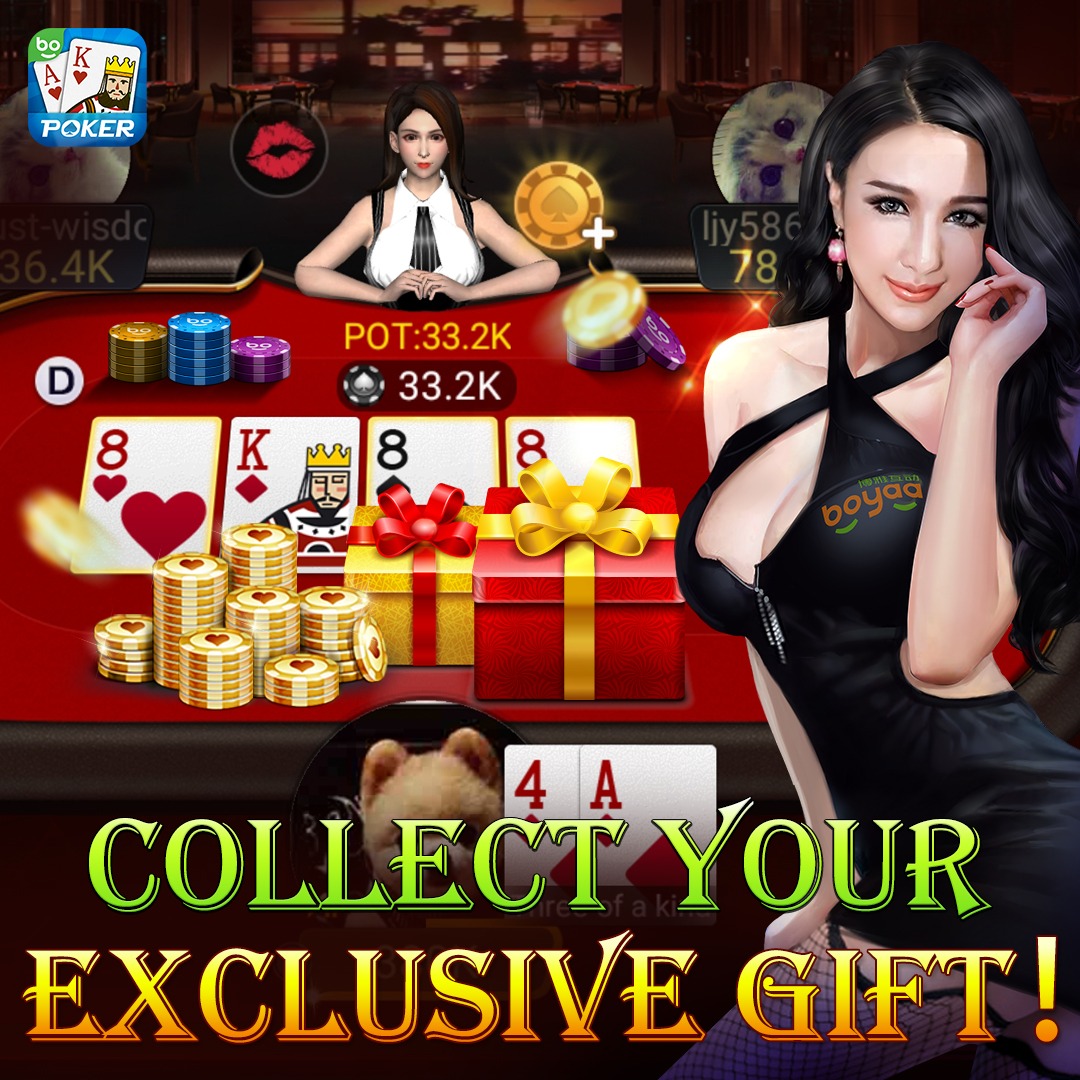 winvnvip
