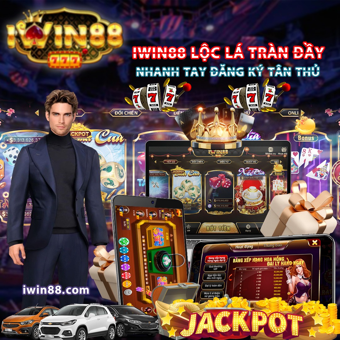winvnvip