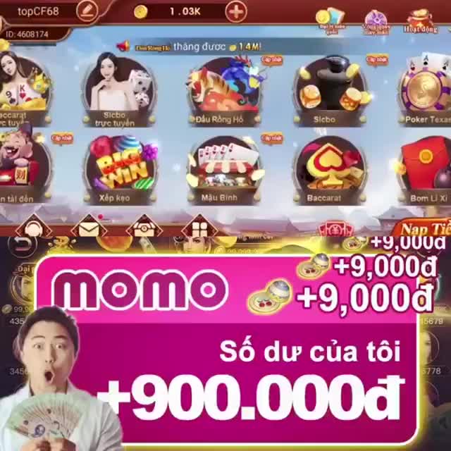 winvnvip
