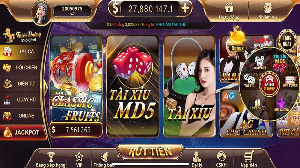 winvnvip