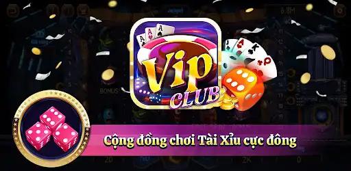 winvnvip