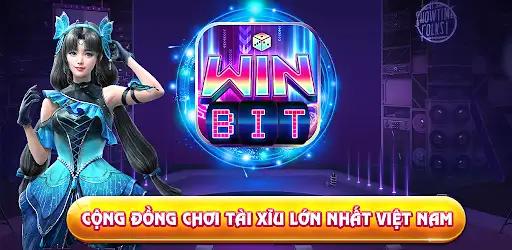winvnvip