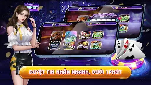 winvnvip