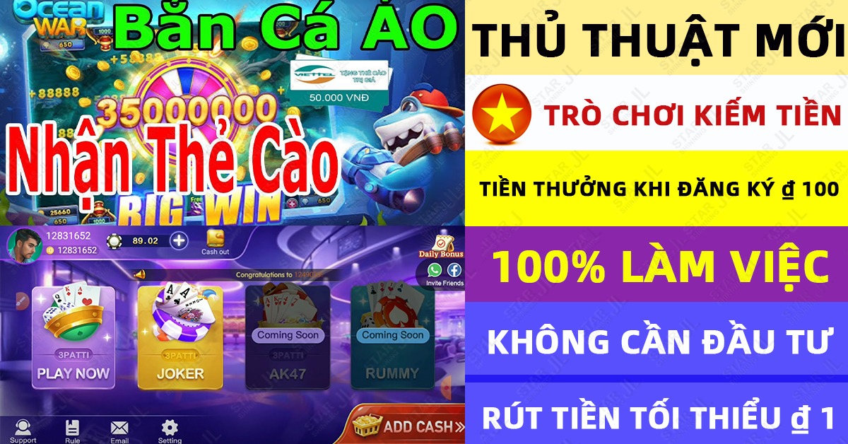 winvnvip