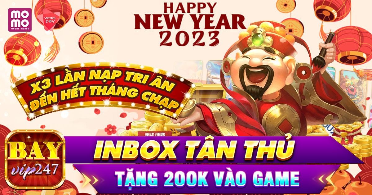 winvnvip