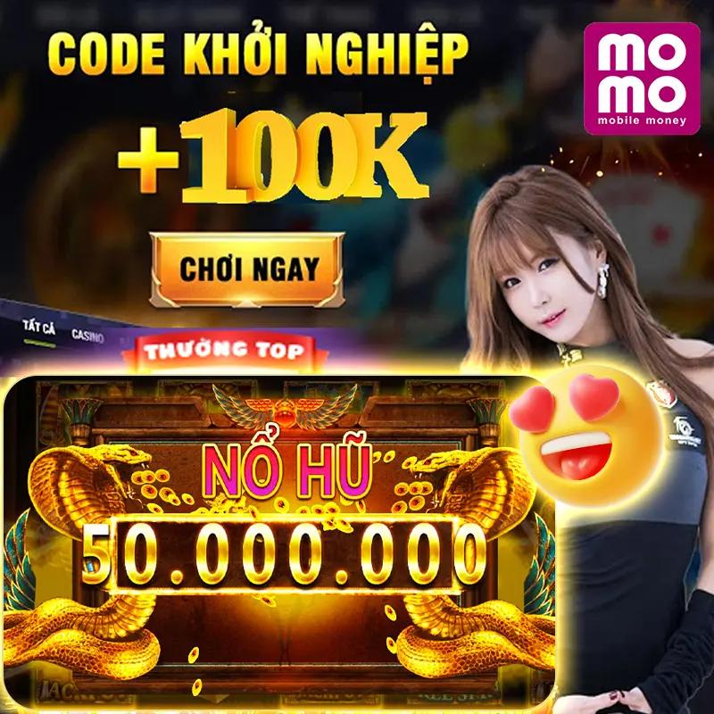 winvnvip