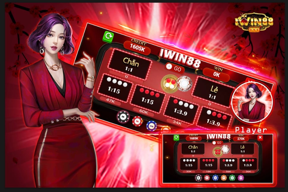 winvnvip