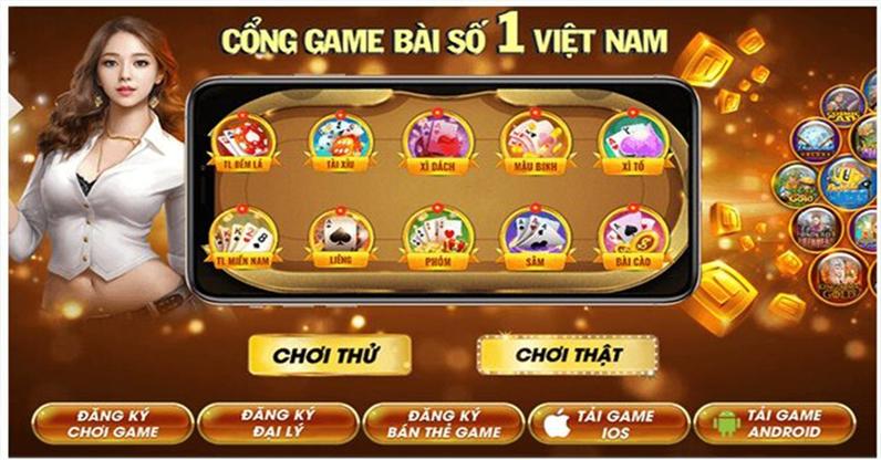 winvnvip
