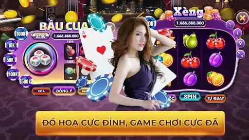 winvnvip