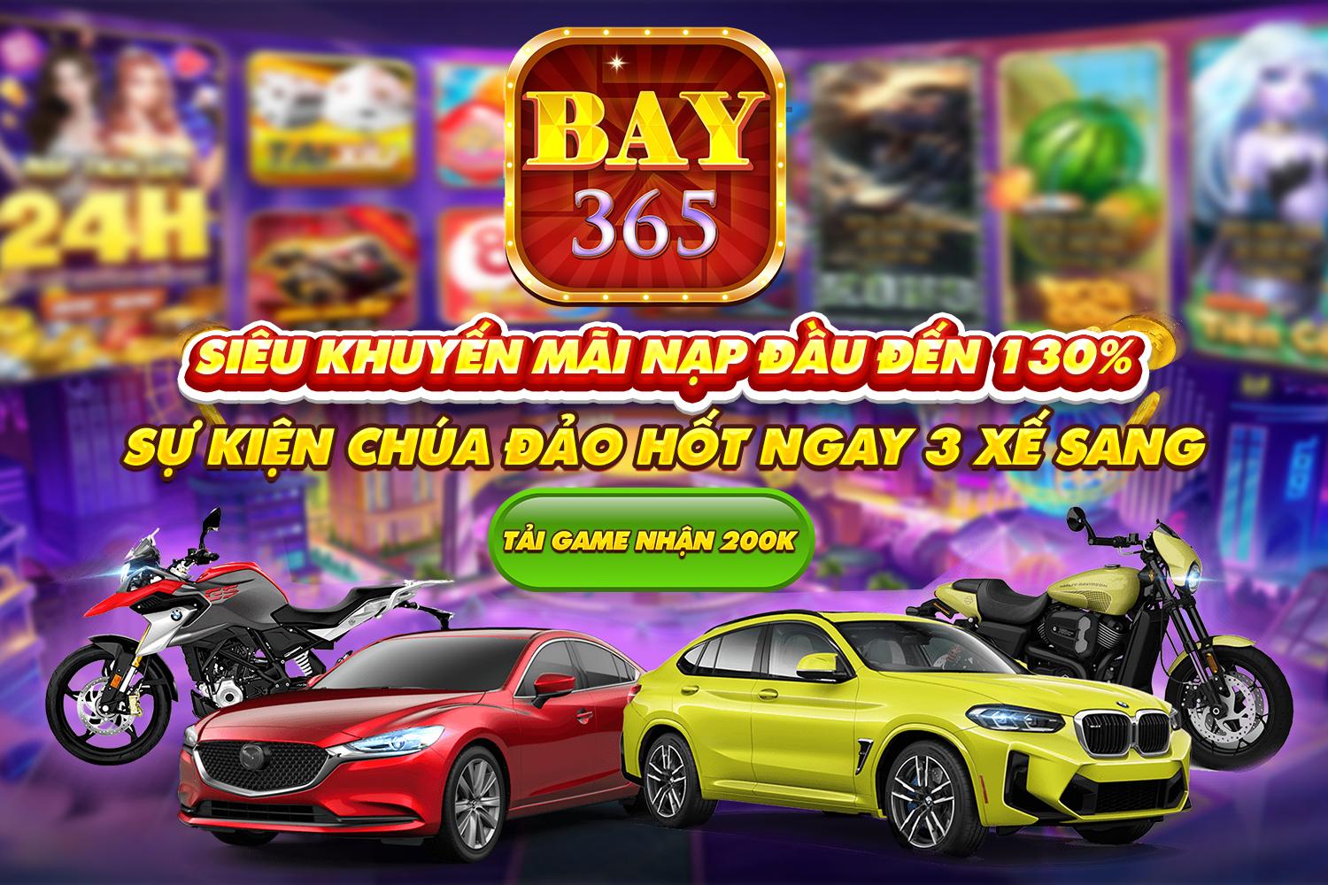 winvnvip