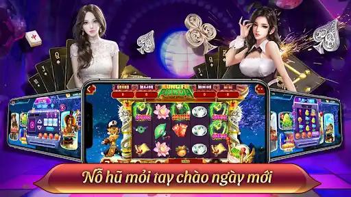 winvnvip