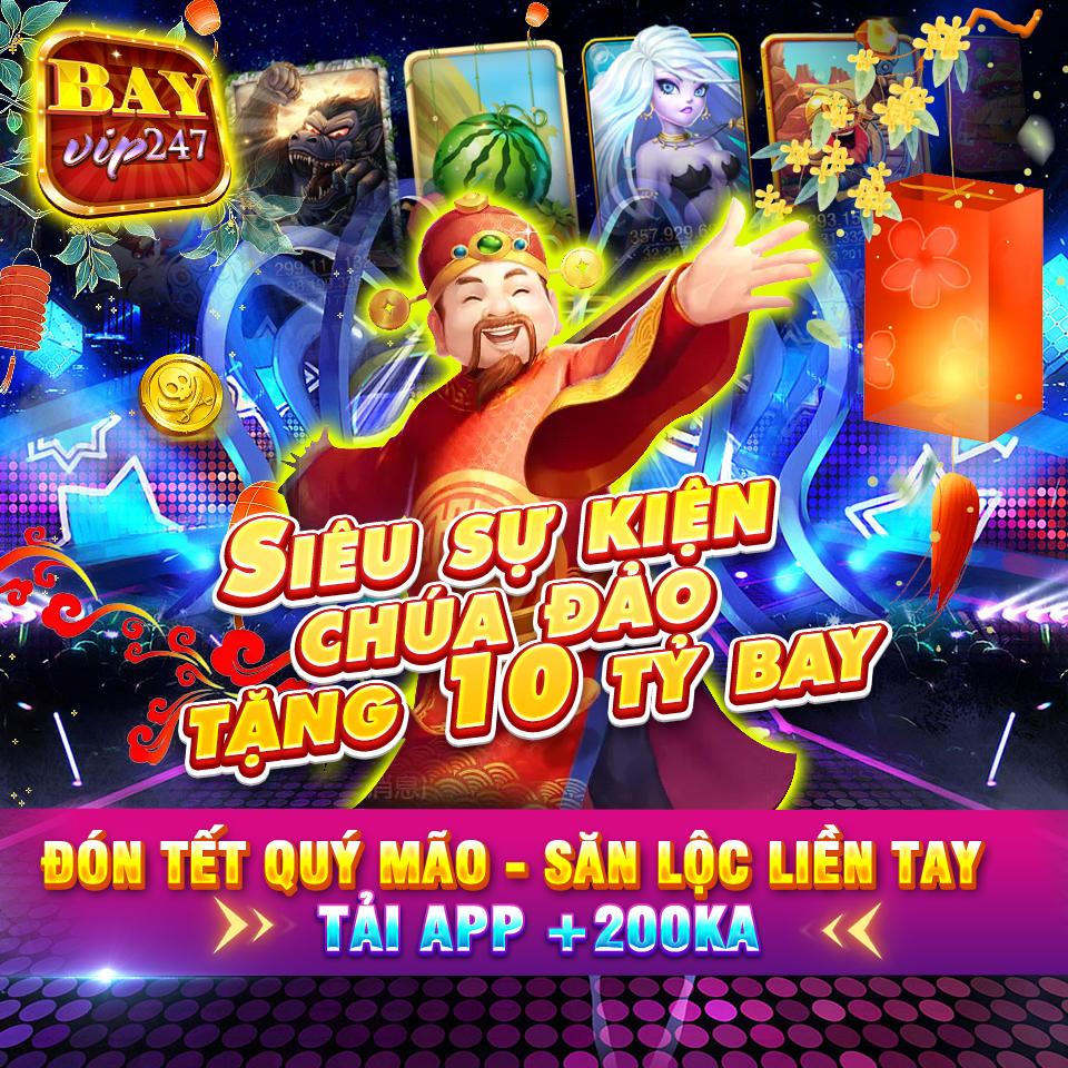 winvnvip