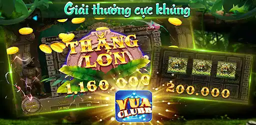winvnvip