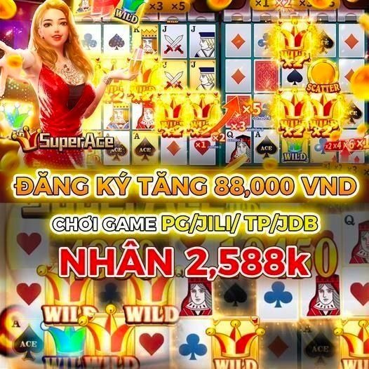 winvnvip