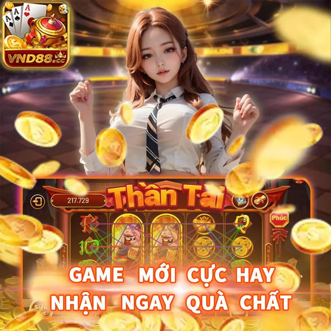 winvnvip