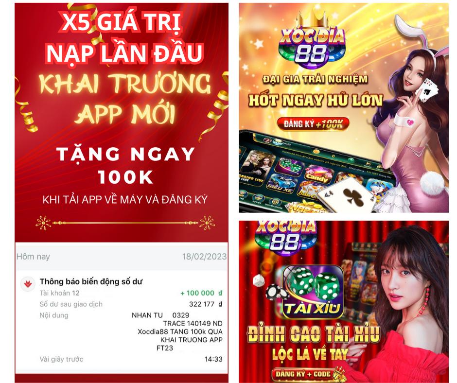 winvnvip