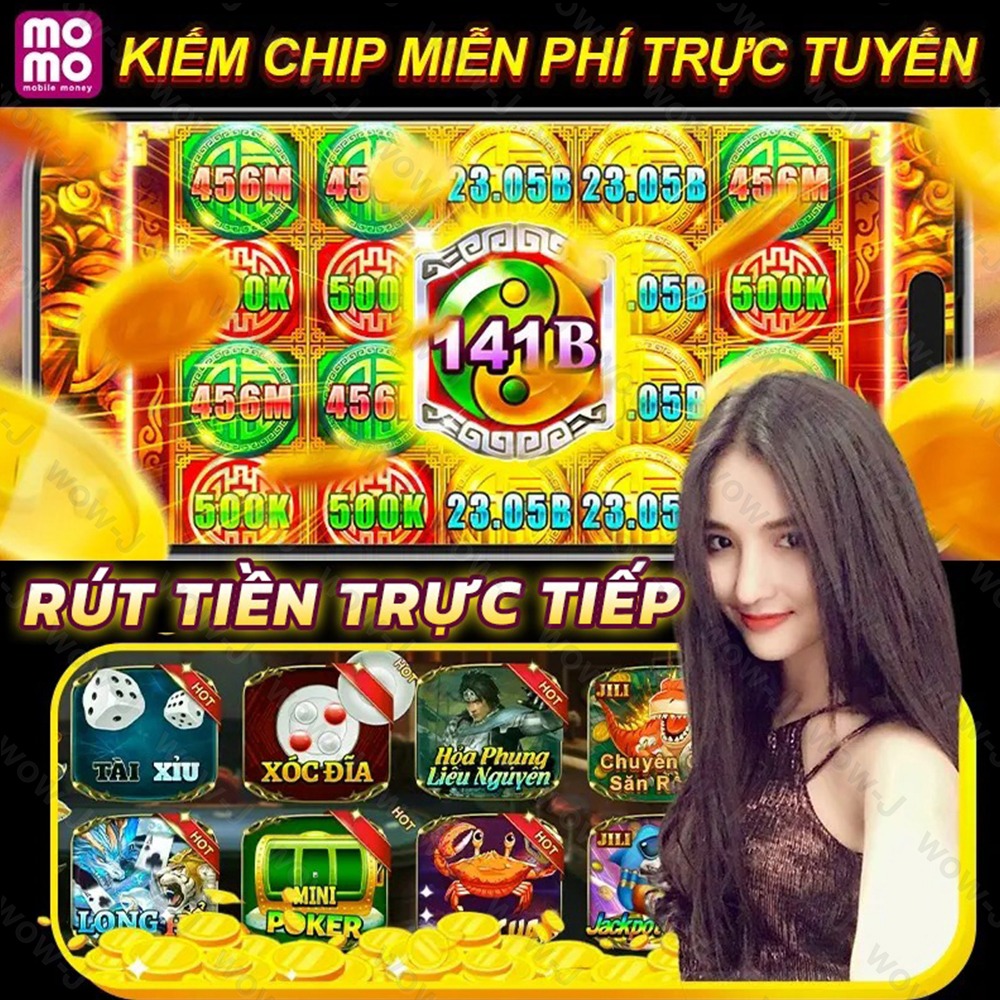 winvnvip